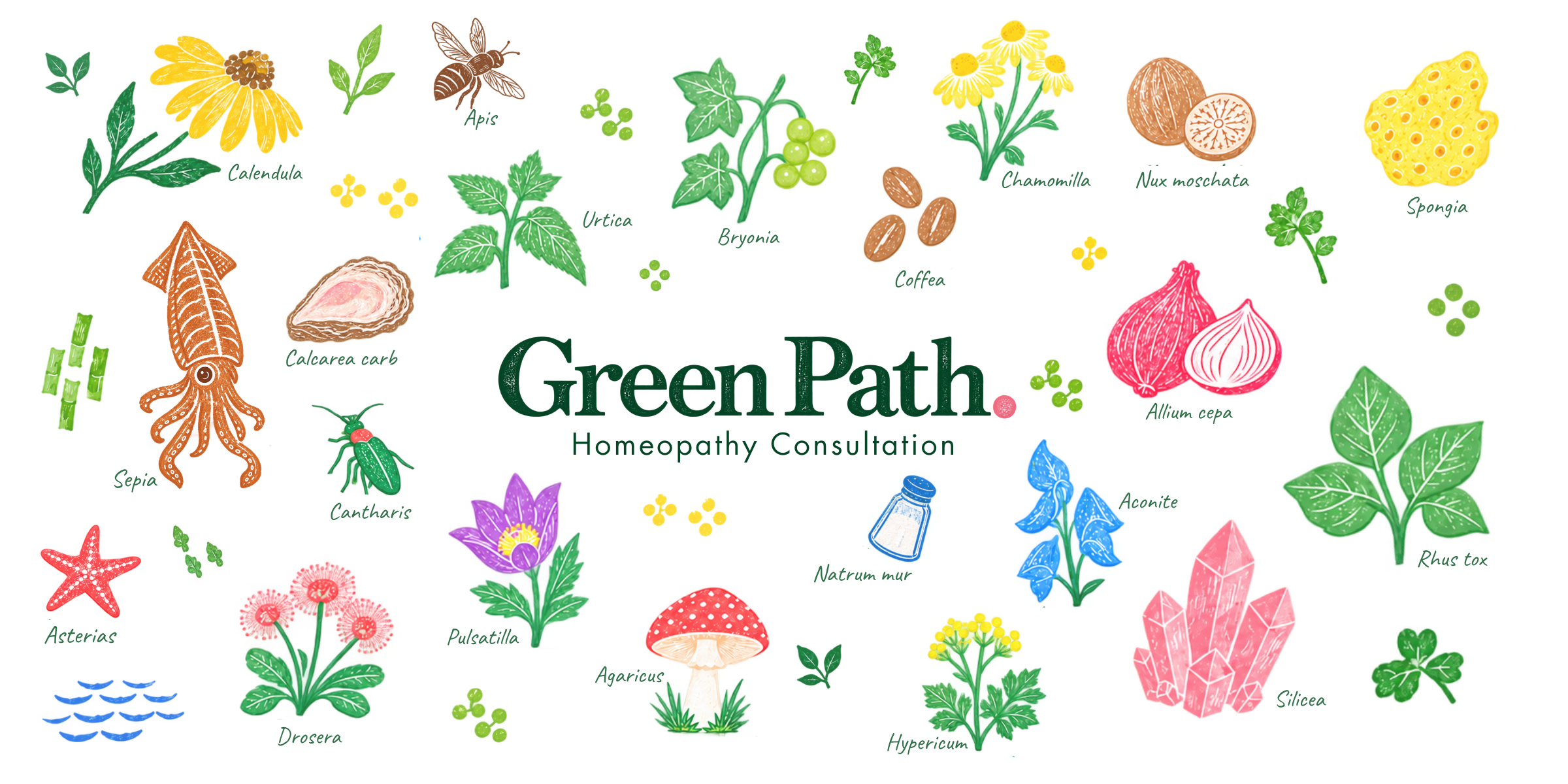 Green Path. Homeopathy Consultation — 花や葉、鉱物、生きものを描いたカラフルな版画風イラスト